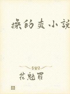 操的爽小说