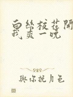 白丝校花开腿让我爽一晚