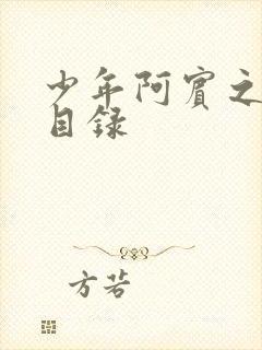 少年阿宾之章节目录