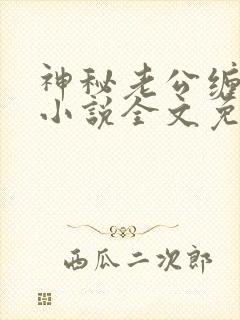 神秘老公缠上我小说全文免费阅读