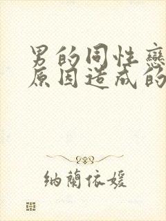 男的同性恋什么原因造成的