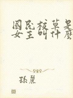 国民校草是女生女主叫什么封面