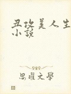 丑攻美人生子的小说