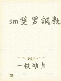 sm双男调教文