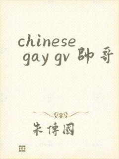 chinese gay gv 帅哥