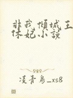 非我倾城王爷要休妃小说