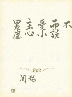 男主爱而不得的虐心小说封面