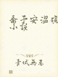 乔予安温砚深的小说