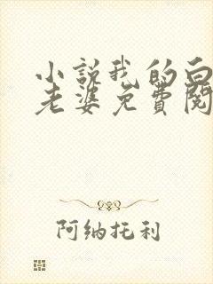 小说我的白富美老婆免费阅读原文