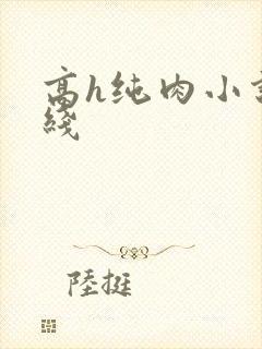 高h纯肉小说在线