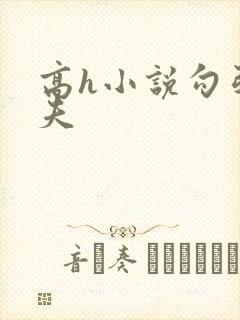 高h小说勾引姐夫封面