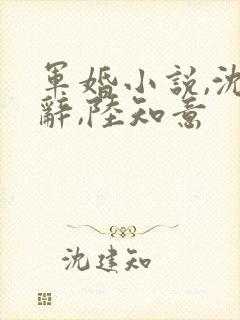 军婚小说,沈砚辞,陆知意