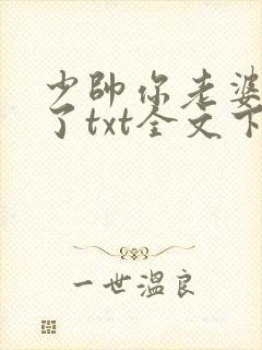 少帅你老婆又跑了txt全文下载封面
