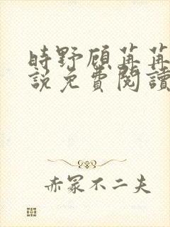 时野顾苒苒的小说免费阅读