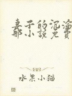 妻子的沉沦之路那小说免费阅读