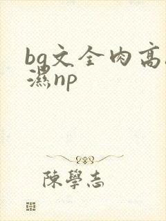 bg文全肉高h湿np