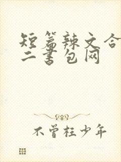 短篇辣文合集第二书包网