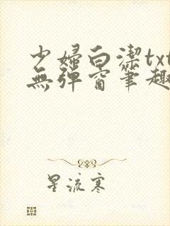 少妇白洁txt无弹窗笔趣阁