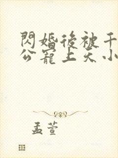 闪婚后被千亿老公宠上天小说封面