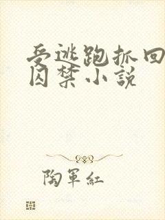 受逃跑抓回惩罚囚禁小说封面