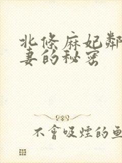 北条麻妃邻居人妻的秘密封面