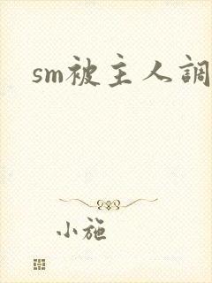 sm被主人调教