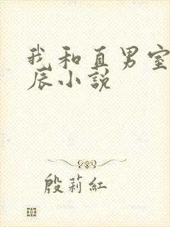 我和直男室友张辰小说封面