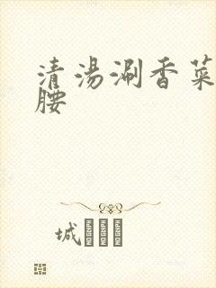 清汤涮香菜 折腰