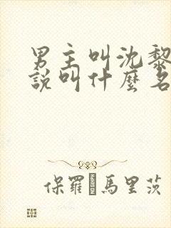 男主叫沈黎的小说叫什么名字封面