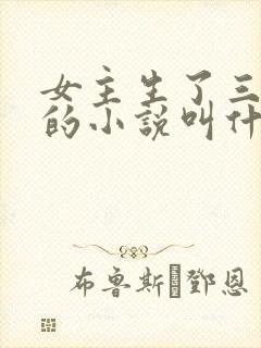 女主生了三胞胎的小说叫什么名字
