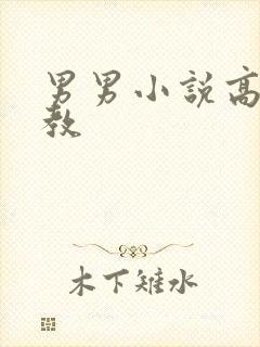 男男小说高h调教