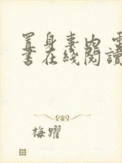 置身事内 电子书在线阅读