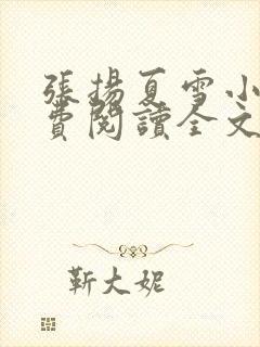 张扬夏雪小说免费阅读全文封面