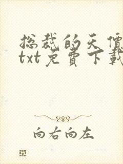 总裁的天价前妻txt免费下载