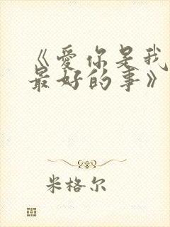 《爱你是我做过最好的事》小说