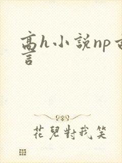 高h小说np古言封面