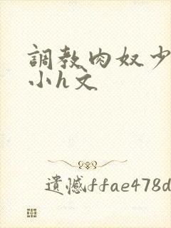 调教肉奴少司缘小h文