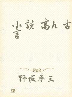 小说 高h 古言