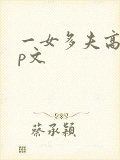 一女多夫高辣np文