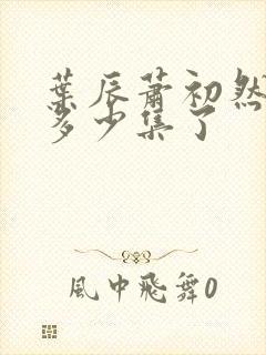 叶辰萧初然更新多少集了封面