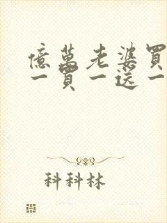 亿万老婆买一送一买一送一