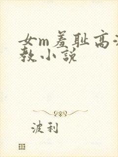 女m羞耻高潮调教小说