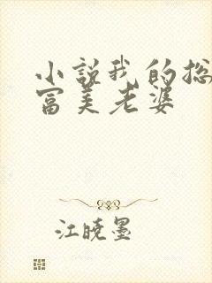 小说我的总裁白富美老婆