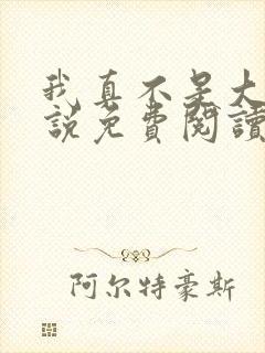 我真不是大佬小说免费阅读