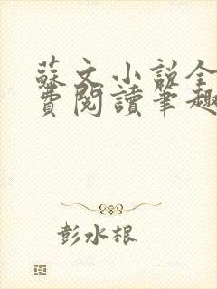 苏文小说全文免费阅读笔趣阁封面
