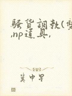 骚货调教(双性,np道具,