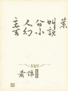 主人公叫叶风的玄幻小说