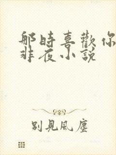 那时喜欢你 叶非夜小说