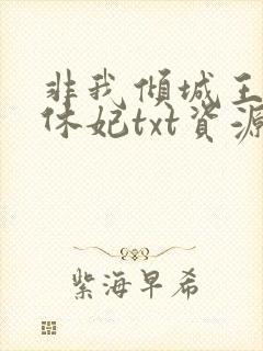 非我倾城王爷要休妃txt资源