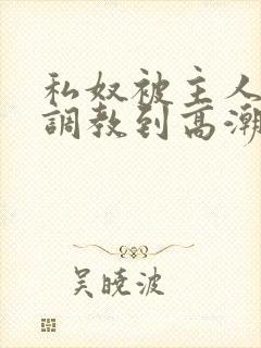 私奴被主人玩弄调教到高潮小说封面